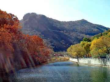 成人草逼电影，平陆野猪